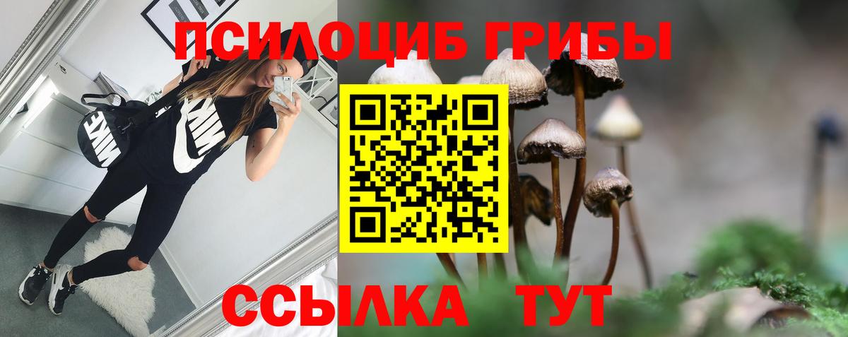 Каменск-Шахтинский  Галлюциногенные грибы MAGIC MUSHROOMS  Псилоцибиновые грибы мухоморы  закладка  Вход с VPN 
